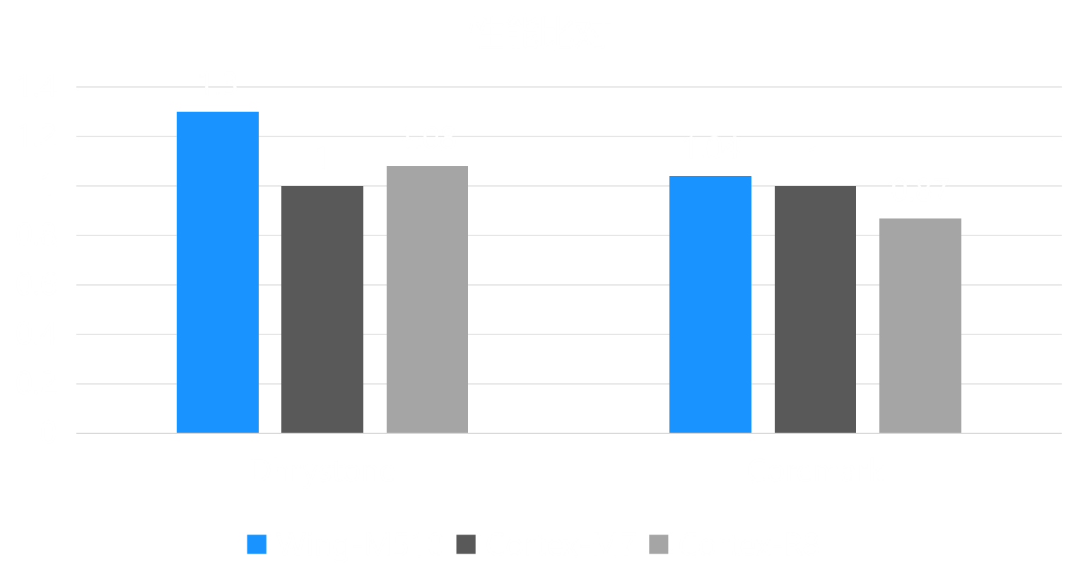 Wing-M510 Processor IP架构图